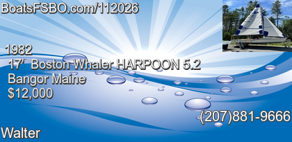 Boston Whaler HARPOON 5.2