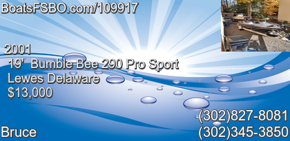 Bumble Bee 290 Pro Sport