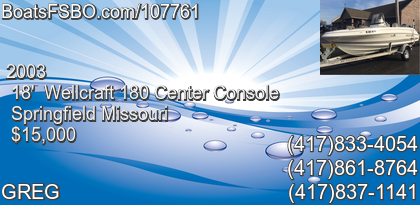 Wellcraft 180 Center Console