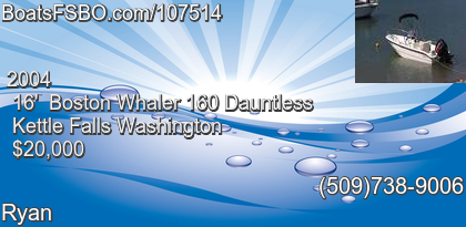 Boston Whaler 160 Dauntless