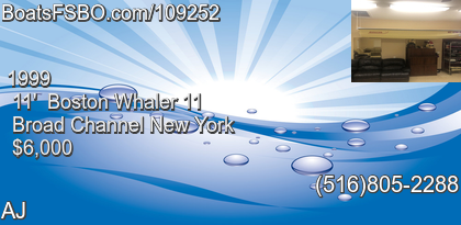 Boston Whaler 11