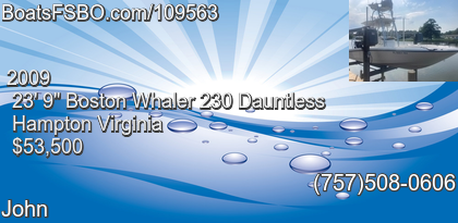 Boston Whaler 230 Dauntless