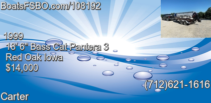 Bass Cat Pantera 3