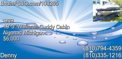 Wellcraft Cuddy Cabin