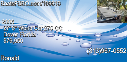 World Cat 270 CC