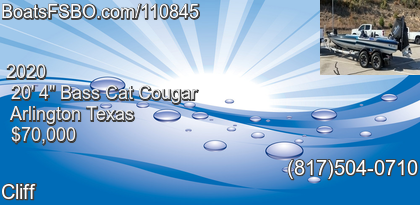 Bass Cat Cougar