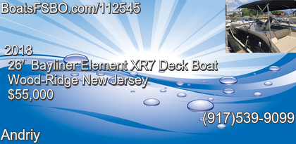 Bayliner Element XR7 Deck Boat