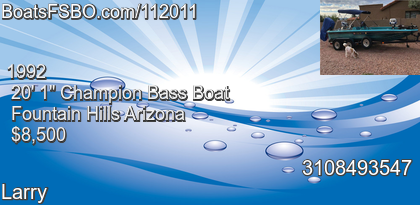 Champion Bass Boat