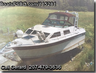Baha Cruisers 310
