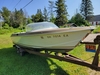 Chris Craft Cavalier Golden Arrow Hessel Michigan