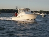 Pursuit 3000 Offshore