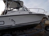 Robalo Walkaround East Patchogue New York