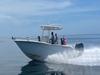 Sea Fox 256 Commander Venice Florida
