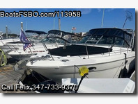 Sea Ray 290 Amberjack