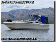 Sea Ray 300