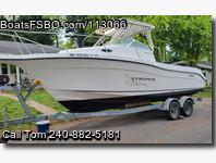 Seaswirl Striper 2605