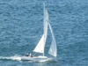 Sonar Onedesign Keel Boat